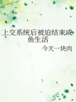 上交系统后被迫结束咸鱼生活