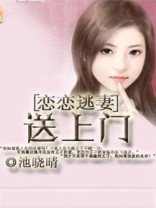 恋恋小逃妻 十年一信