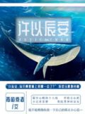 许以辰安说什么内容