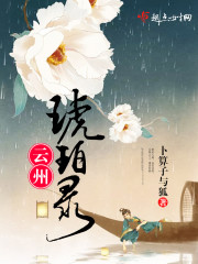 云州琥珀录 电子书