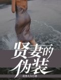 贤妻的伪装