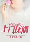 女总裁的上门龙婿刘风苏倾城