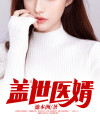 盖世医婿陈飞