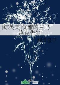综英美优雅的兰马洛克先生百度云