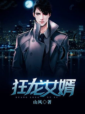 狂龙女婿免费全集