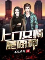 上门女婿是厨师的小说
