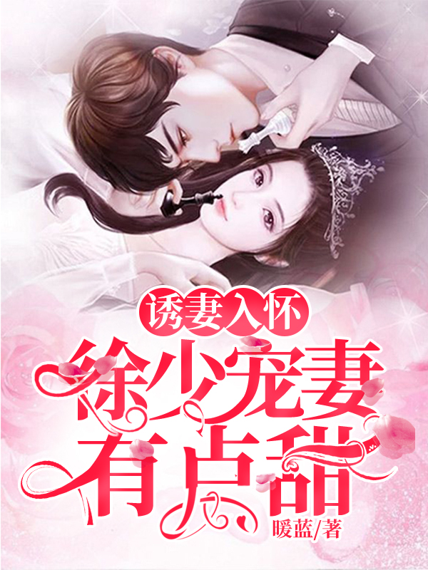 徐少的瘾婚甜妻