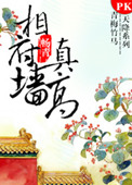 相府墙真高TXT