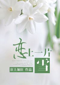 恋上一片雪小说下载