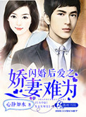 闪婚后爱总裁娇妻惹不起