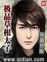 极品草根太子小说阅读