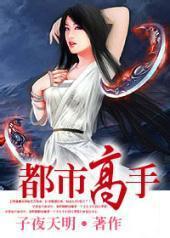 都市高手叶昊