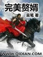 完美赘婿短剧免费完整版
