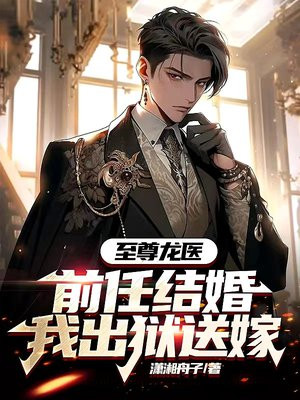 至尊医婿2