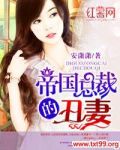 帝国总裁的丑妻
