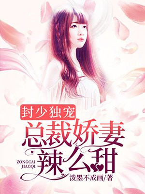 封总裁小说