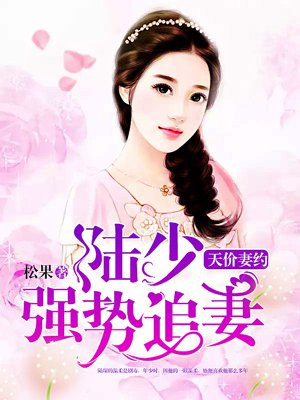 陆少的天价宠妻