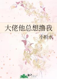 大佬他总想鲁我免费全文阅读