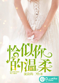 恰似你的温柔歌词完整版