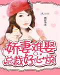 娇妻难惹,总裁请签收全文下载