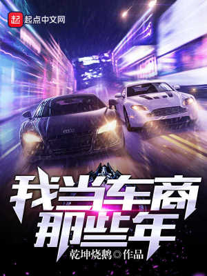 我当夜车司机那几年小说