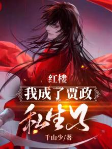 红楼之我是贾政