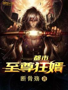 都市至尊狂婿一滴海