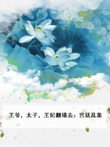 王爷和太子的小说