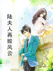 小说陆夫人
