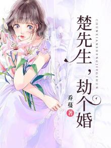 楚先生免费阅读