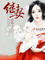 继妻心得