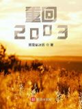 重回2003小说全文免费阅读