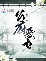 公府小说