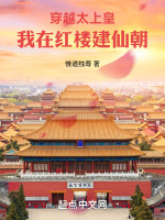 穿越红楼当太子的小说