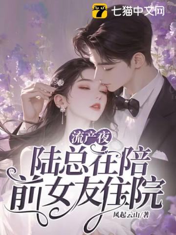流产夜,陆总在陪前女友住院免费阅读