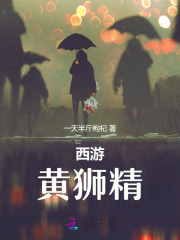 西游黄狮精小说