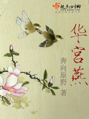 华宫燕下载