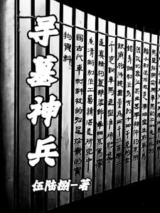 寻墓记 小说