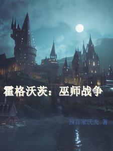 霍格沃茨的灰巫师 小说