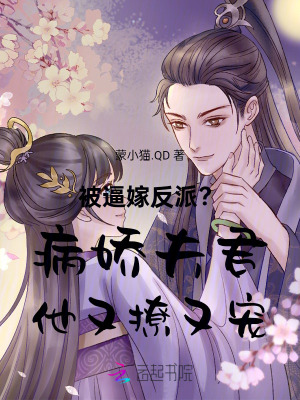 被病娇反派盯上以后 小说