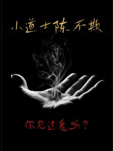 小道士陈不欺 智能小说网