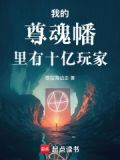 我的尊魂幡里有十亿玩家小说