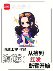 海贼:从捡到红发断臂开始笔趣阁