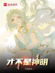 才不是神明小说