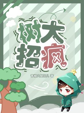 树大招风小说