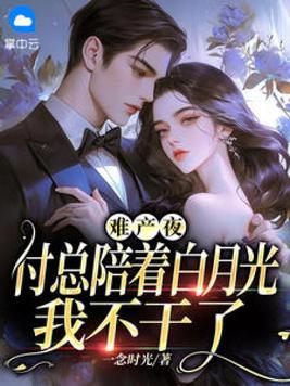 难产夜,付总陪着白月光,我不干了总共多少章