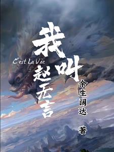 我是赵无极小说