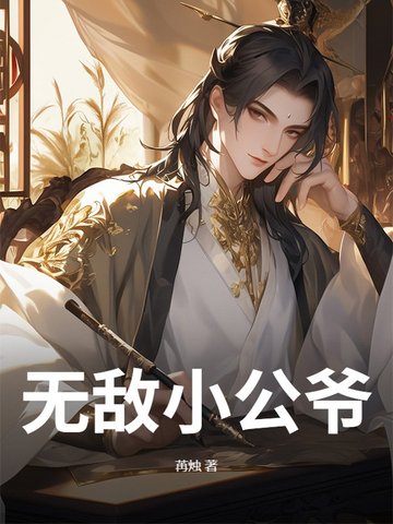 无敌小公爷小说全文阅读