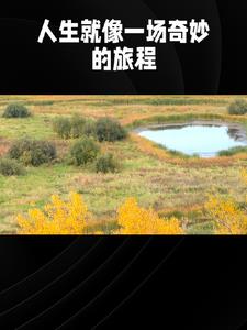 言情故事会小说