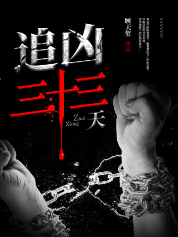 追凶三十三天小说